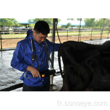Scanner à ultrasons de Palm pour le bétail